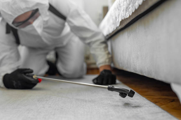 Professional Bed Bug Control technician working in Woodland Hills, UT