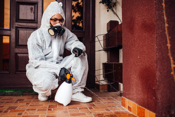 Reliable Bed Bug Control contractor in Woodland Hills, UT by Nex Pest Control